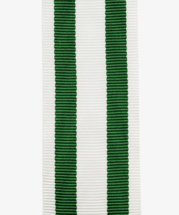 Medal for flood helpers Saxony (133)